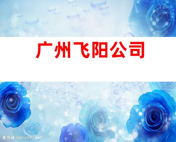 广州飞阳公司