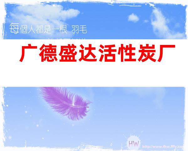 广德盛达活性炭厂