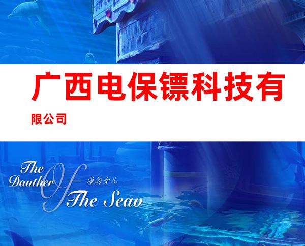 广西电保镖科技有限公司