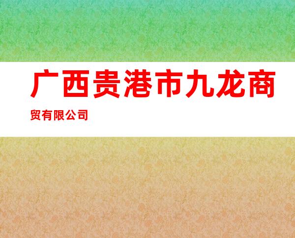 广西贵港市九龙商贸有限公司