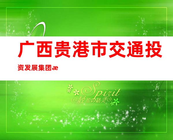 广西贵港市交通投资发展集团有限公司