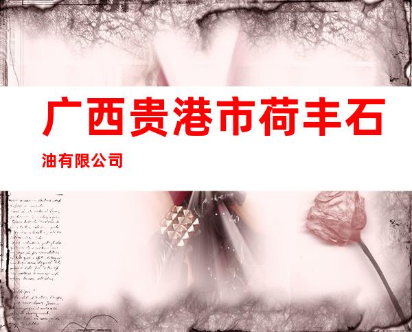 广西贵港市荷丰石油有限公司