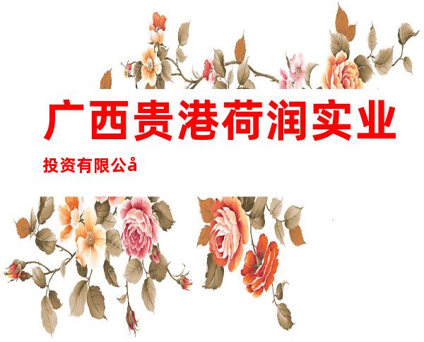 广西贵港荷润实业投资有限公司