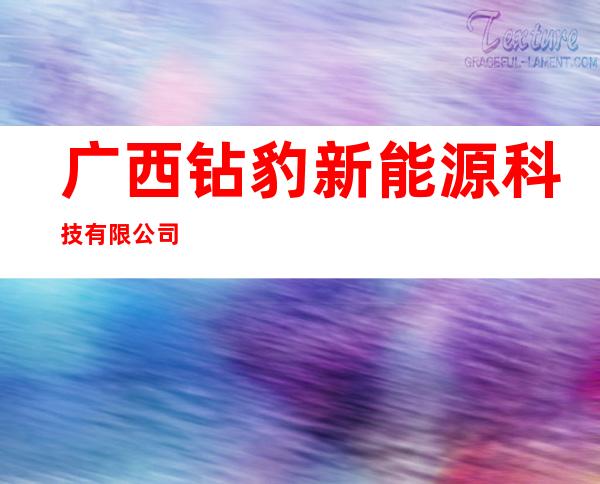 广西钻豹新能源科技有限公司