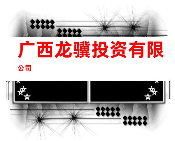 广西龙骥投资有限公司