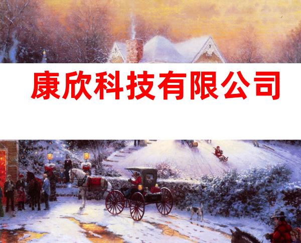 康欣科技有限公司