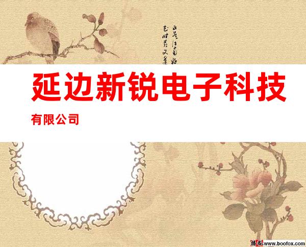 延边新锐电子科技有限公司