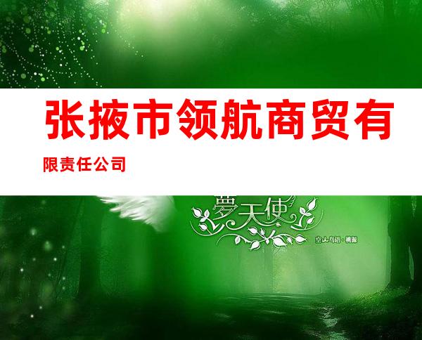 张掖市领航商贸有限责任公司