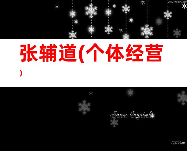 张辅道(个体经营）