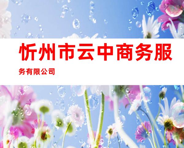 忻州市云中商务服务有限公司