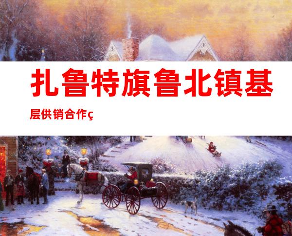 扎鲁特旗鲁北镇基层供销合作社有限责任公司