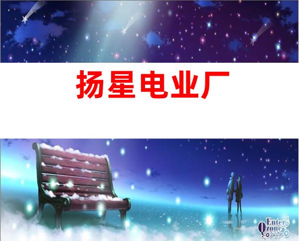 扬星电业厂