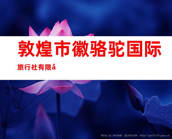 敦煌市徽骆驼国际旅行社有限公司
