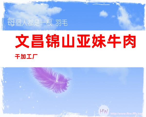 文昌锦山亚妹牛肉干加工厂