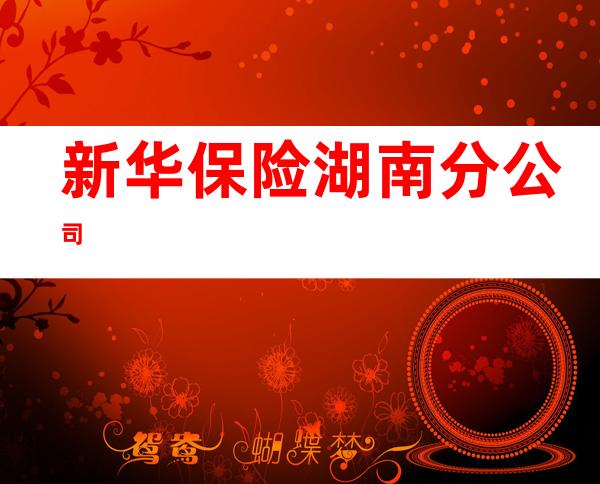 新华保险湖南分公司