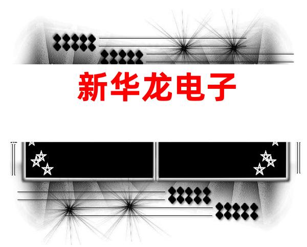 新华龙电子