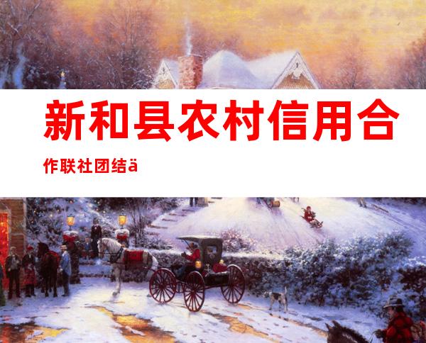 新和县农村信用合作联社团结信用社