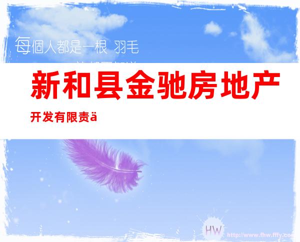 新和县金驰房地产开发有限责任公司