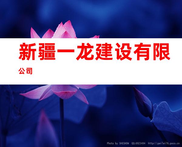 新疆一龙建设有限公司