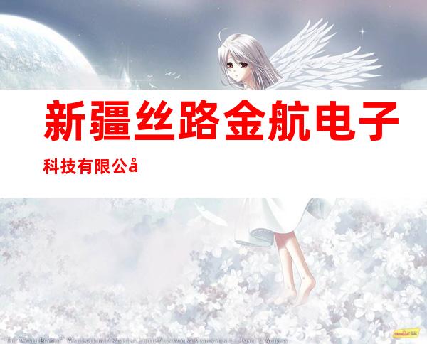 新疆丝路金航电子科技有限公司