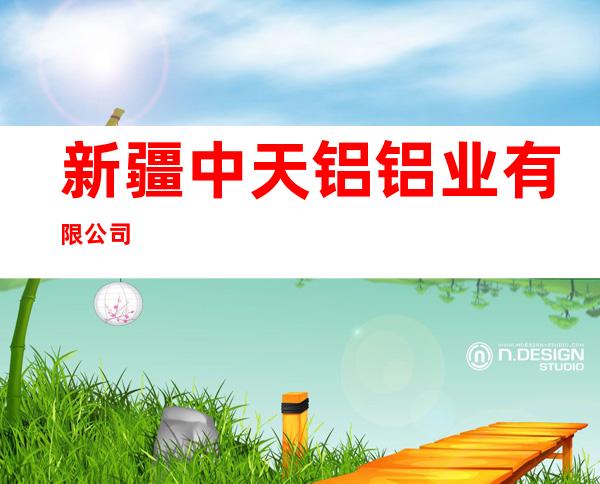 新疆中天铝铝业有限公司
