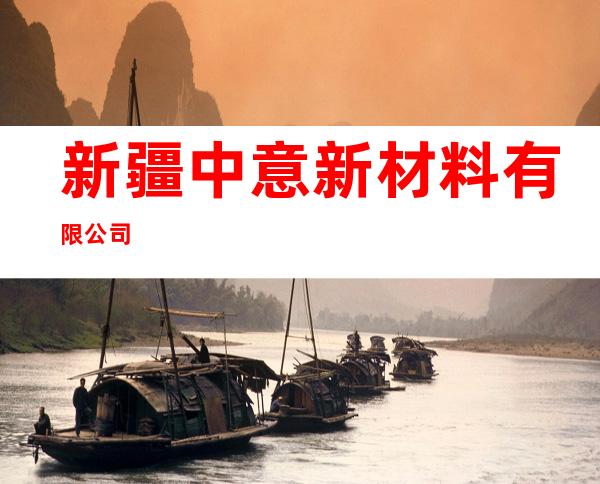 新疆中意新材料有限公司