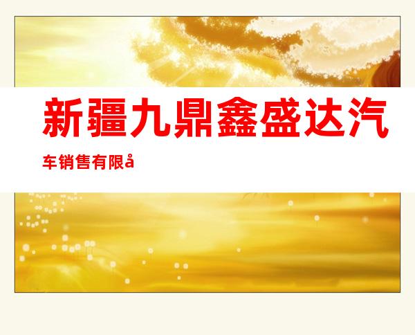 新疆九鼎鑫盛达汽车销售有限公司