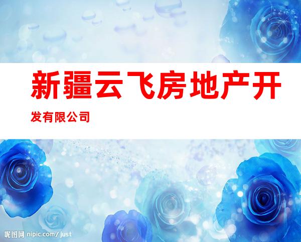 新疆云飞房地产开发有限公司