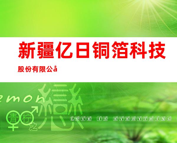 新疆亿日铜箔科技股份有限公司