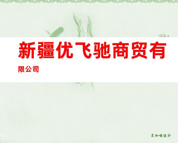 新疆优飞驰商贸有限公司