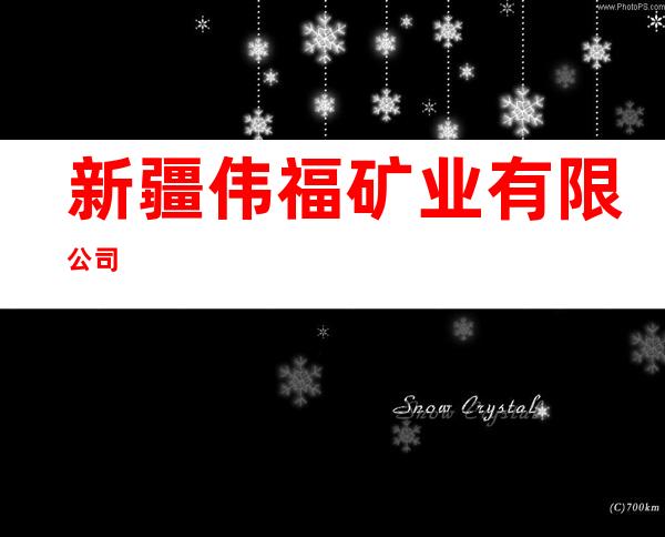 新疆伟福矿业有限公司