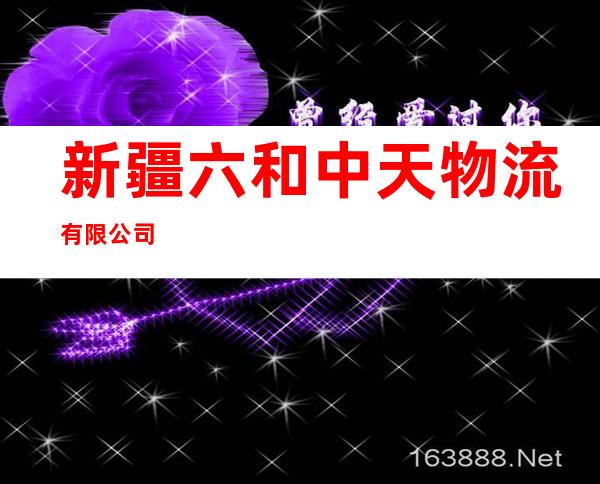 新疆六和中天物流有限公司