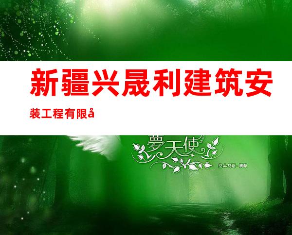新疆兴晟利建筑安装工程有限公司