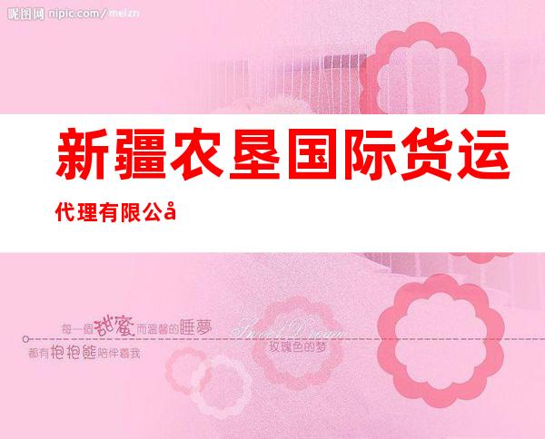 新疆农垦国际货运代理有限公司