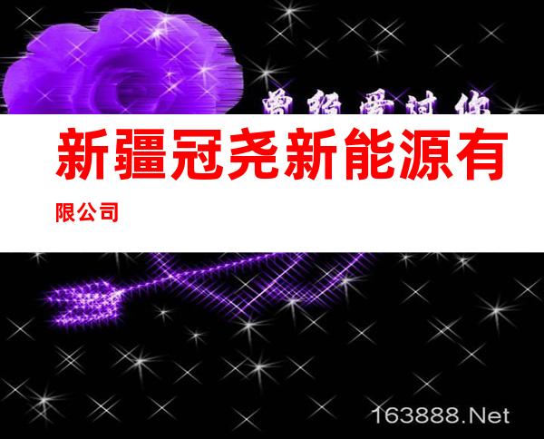 新疆冠尧新能源有限公司
