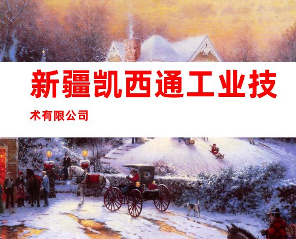 新疆凯西通工业技术有限公司