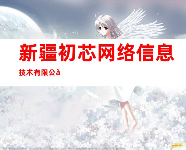 新疆初芯网络信息技术有限公司
