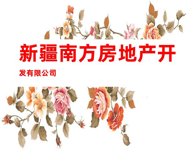 新疆南方房地产开发有限公司