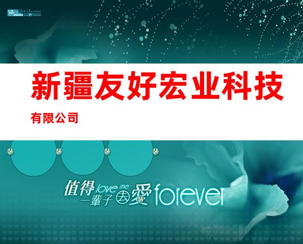 新疆友好宏业科技有限公司