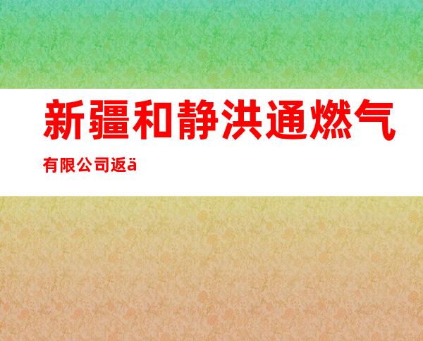 新疆和静洪通燃气有限公司返修桥加气站