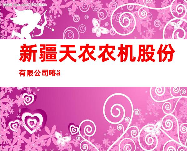 新疆天农农机股份有限公司喀什分公司