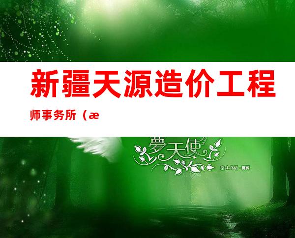 新疆天源造价工程师事务所（有限公司）