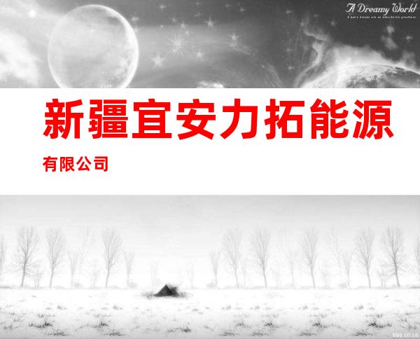 新疆宜安力拓能源有限公司