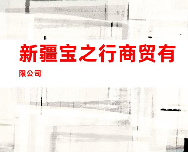 新疆宝之行商贸有限公司