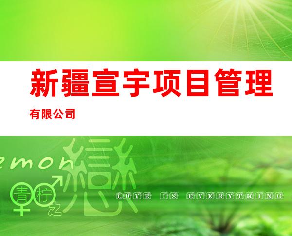 新疆宣宇项目管理有限公司