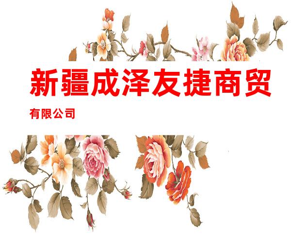 新疆成泽友捷商贸有限公司