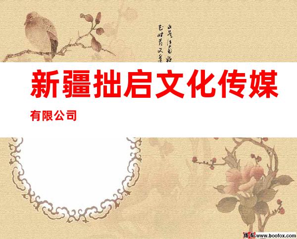 新疆拙启文化传媒有限公司