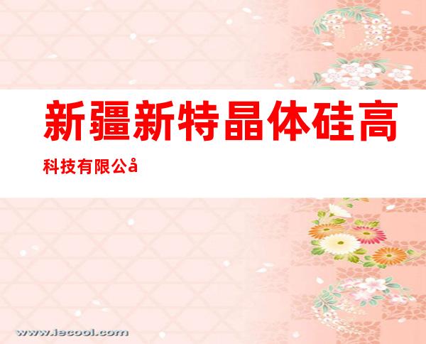 新疆新特晶体硅高科技有限公司