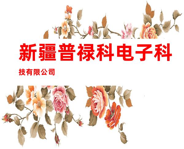 新疆普禄科电子科技有限公司