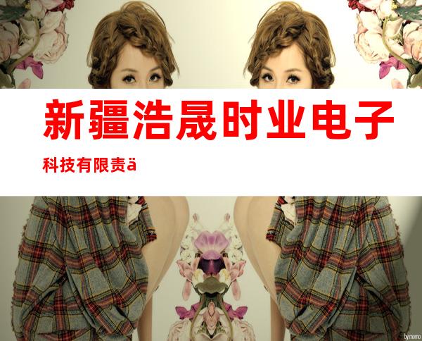新疆浩晟时业电子科技有限责任公司